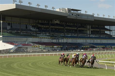 At one time it was devoted to just one type of horse racing, but now it entertains horse racing fans by offering a mixture of action. . Woodbine racetrack live
